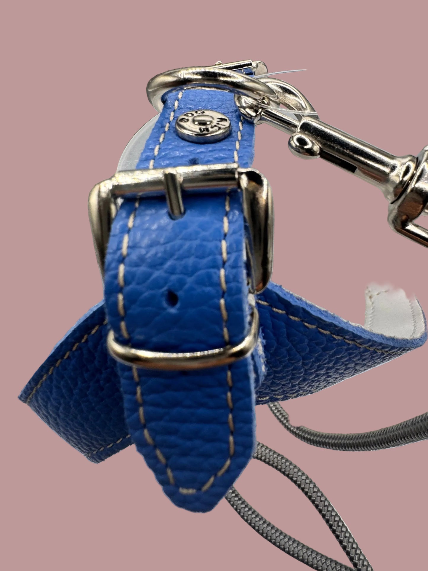 Harnais Bleu Pervenche