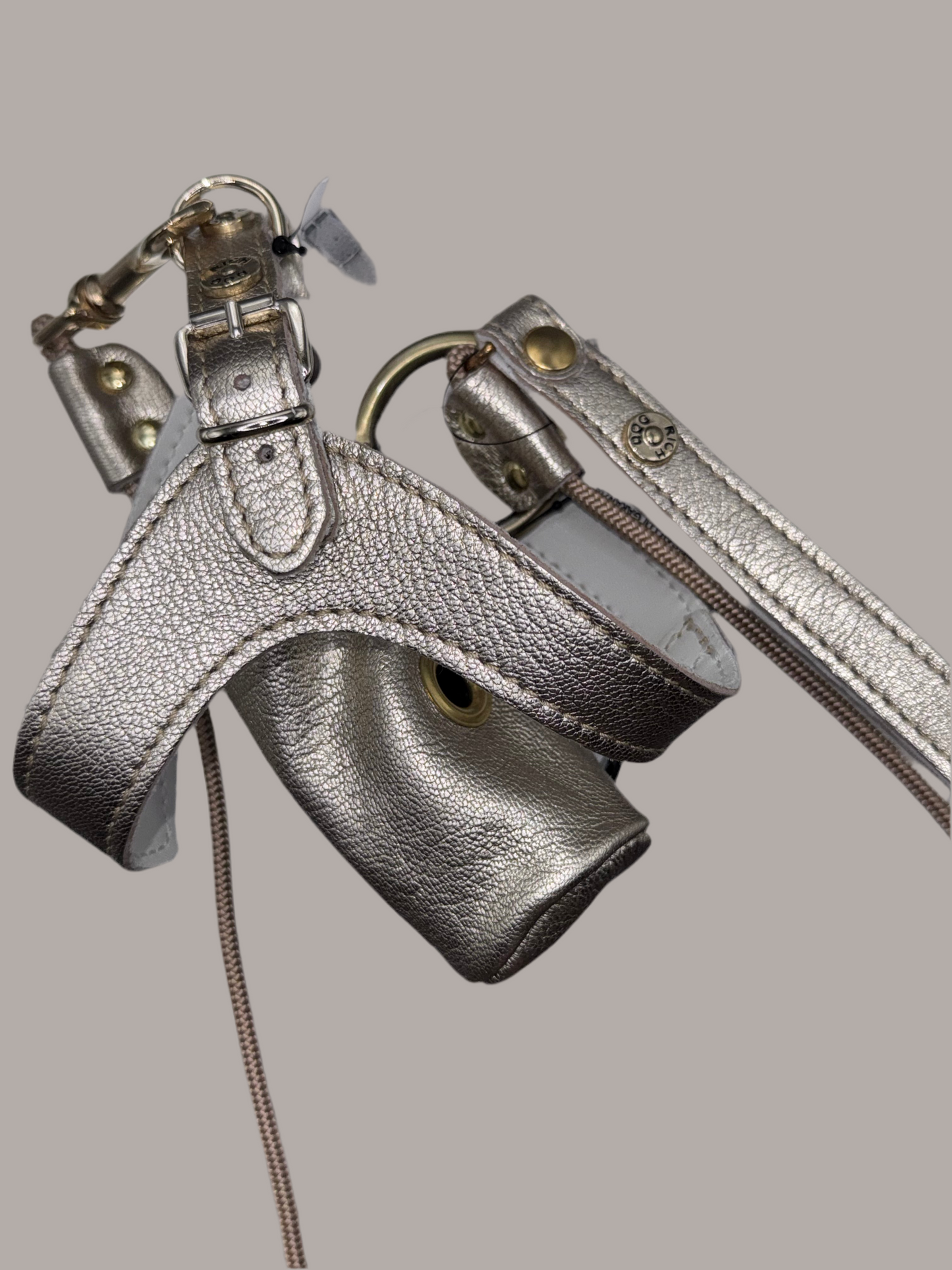 L'ensemble 3 pièces chic pour chien stylé 🐶✨ OR taille M