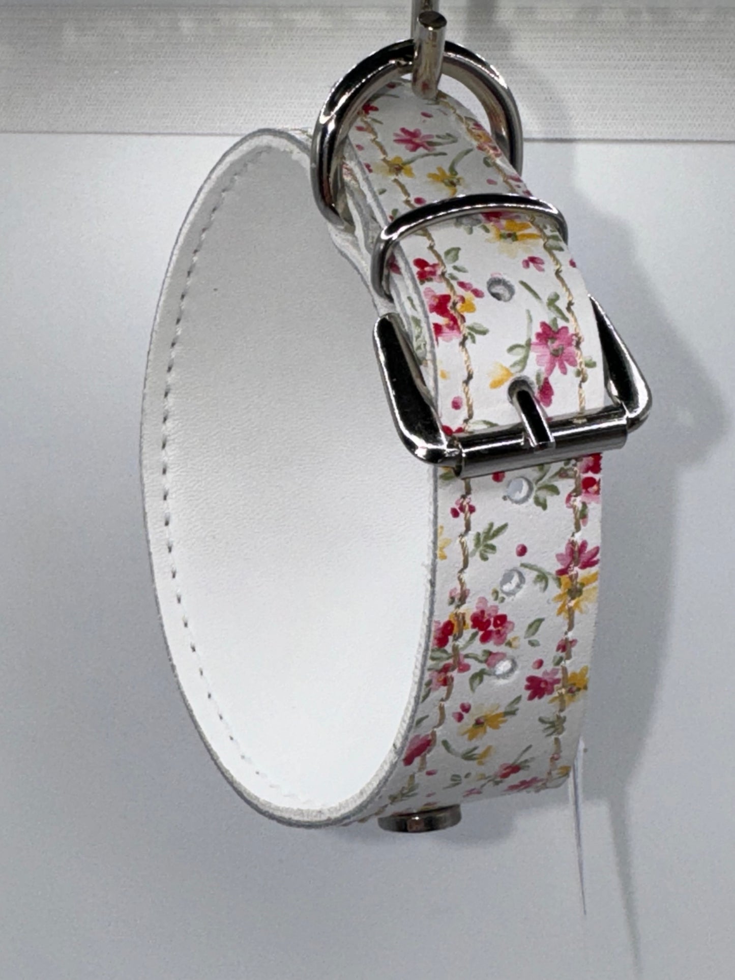 Colliers & Laisses haut de gamme pour lévriers