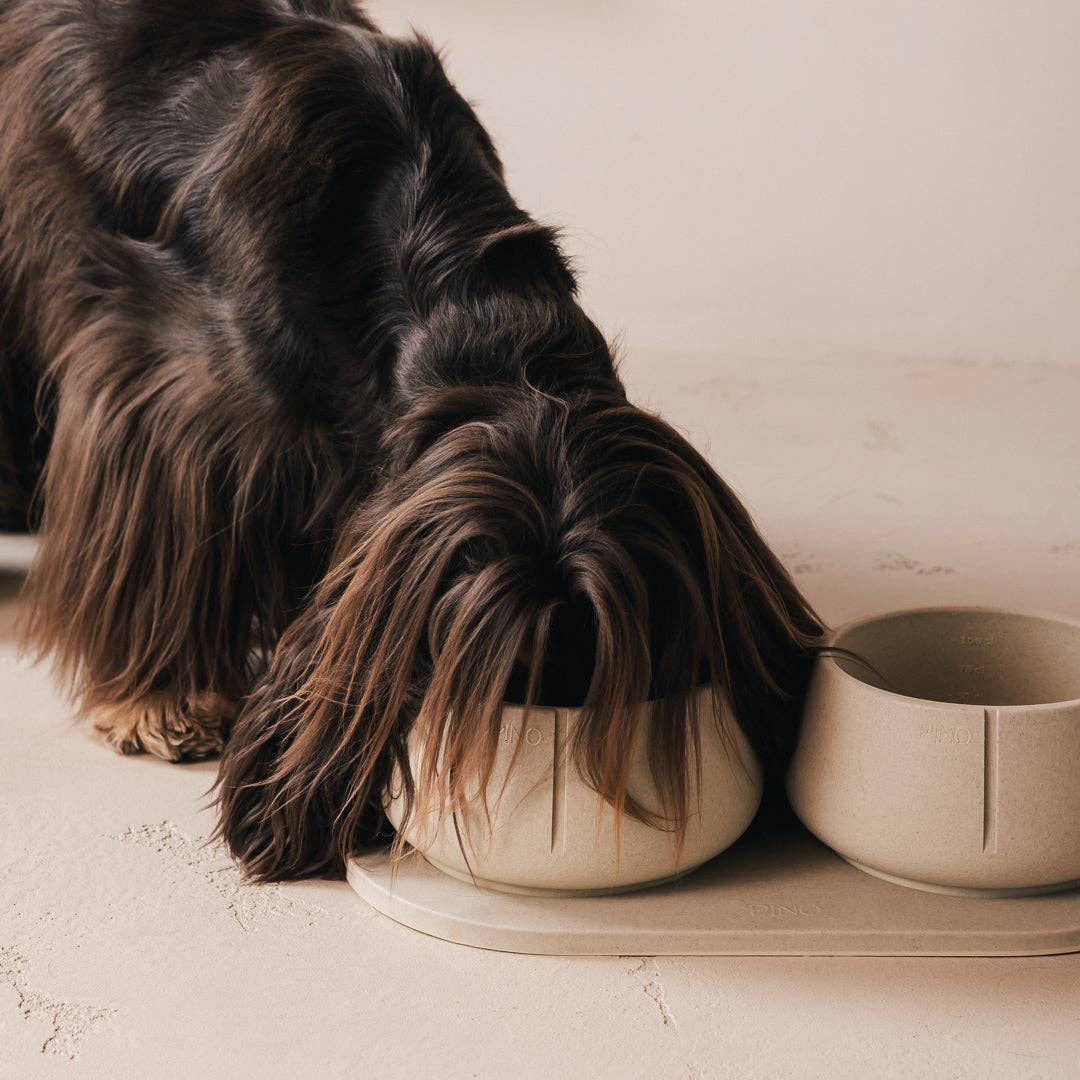 Plateau pour chiens