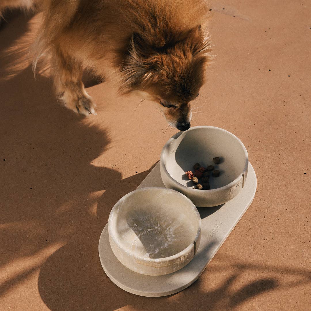 Plateau pour chiens