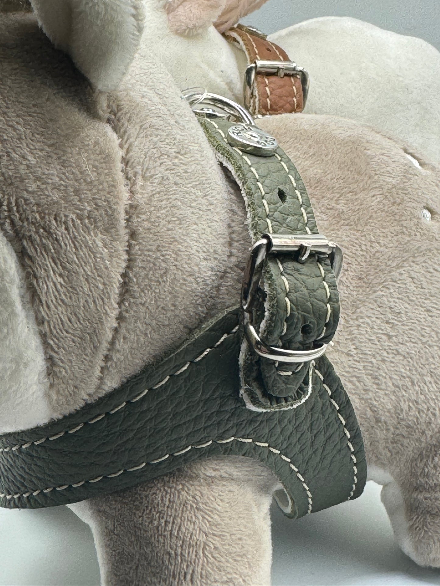 Khaki harness and matching leash