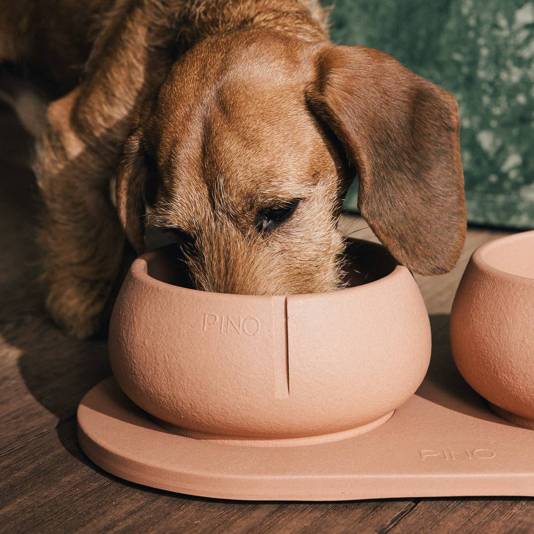 Plateau pour chiens