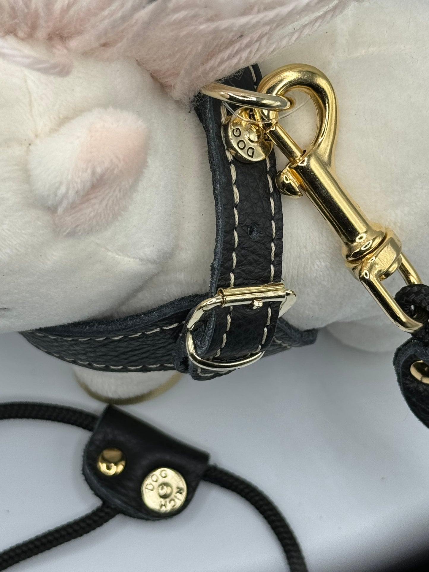 'Black &amp; Gold' harness and matching leash