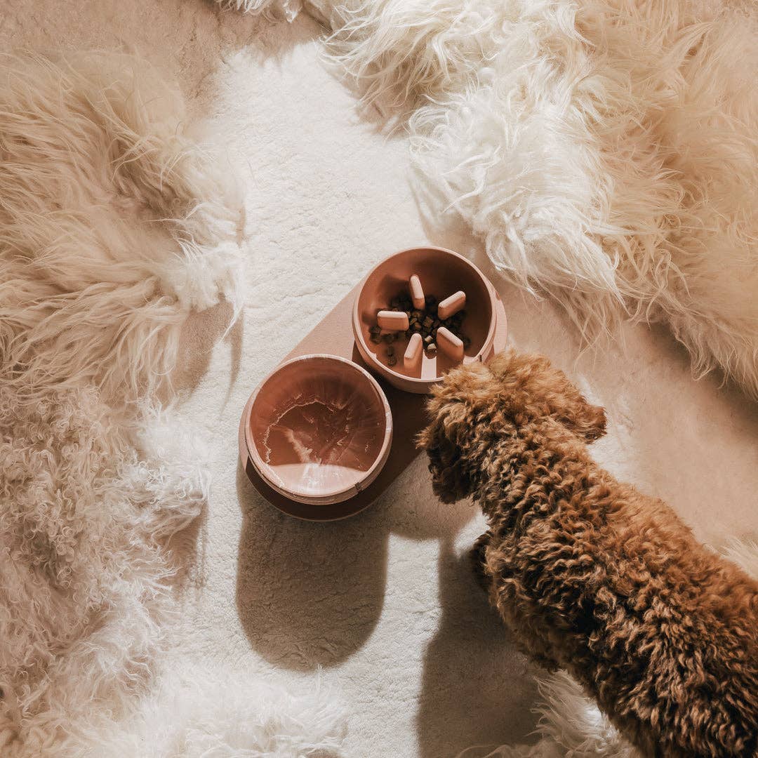 Gamelle pour chien à alimentation lente
