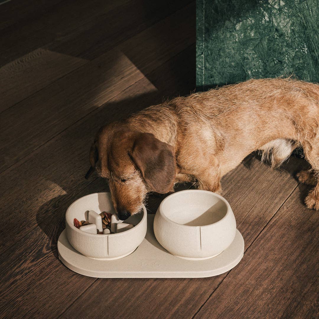 Plateau pour chiens