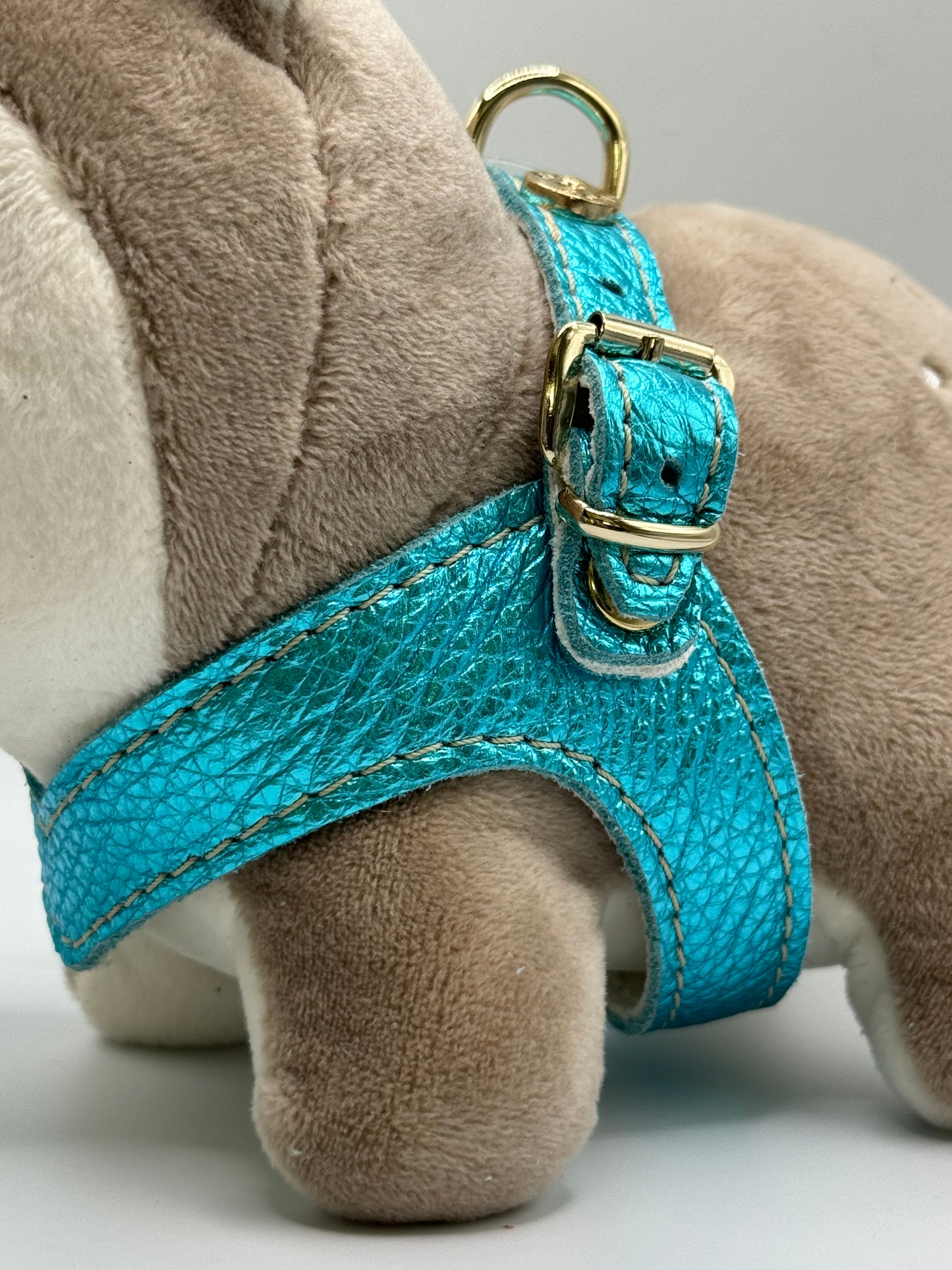 Cyan 'Metal' harness and matching leash