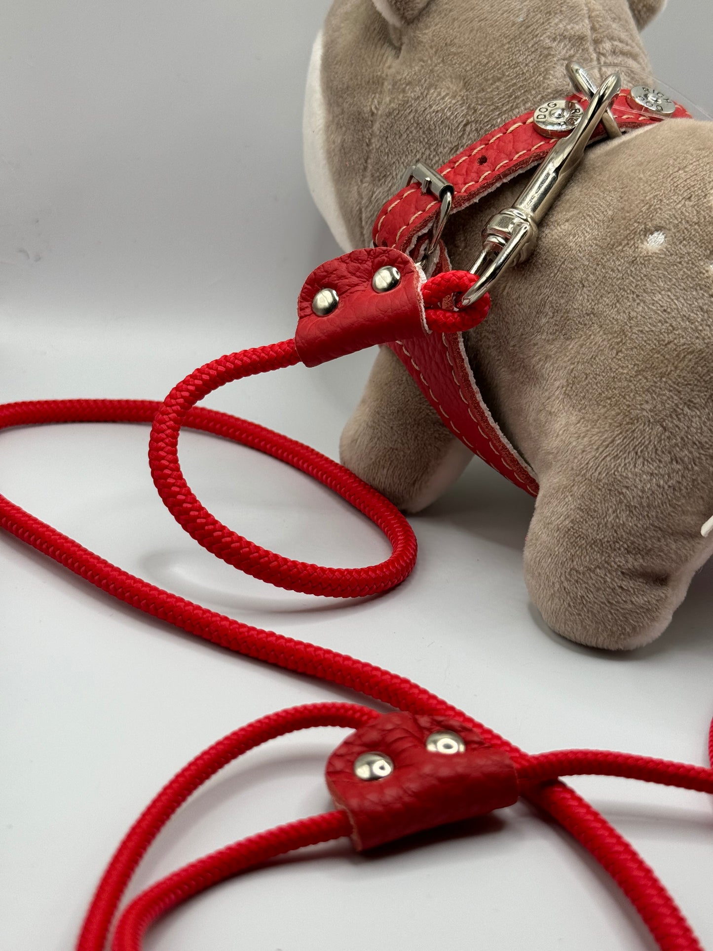 'Bright' red harness and matching leash