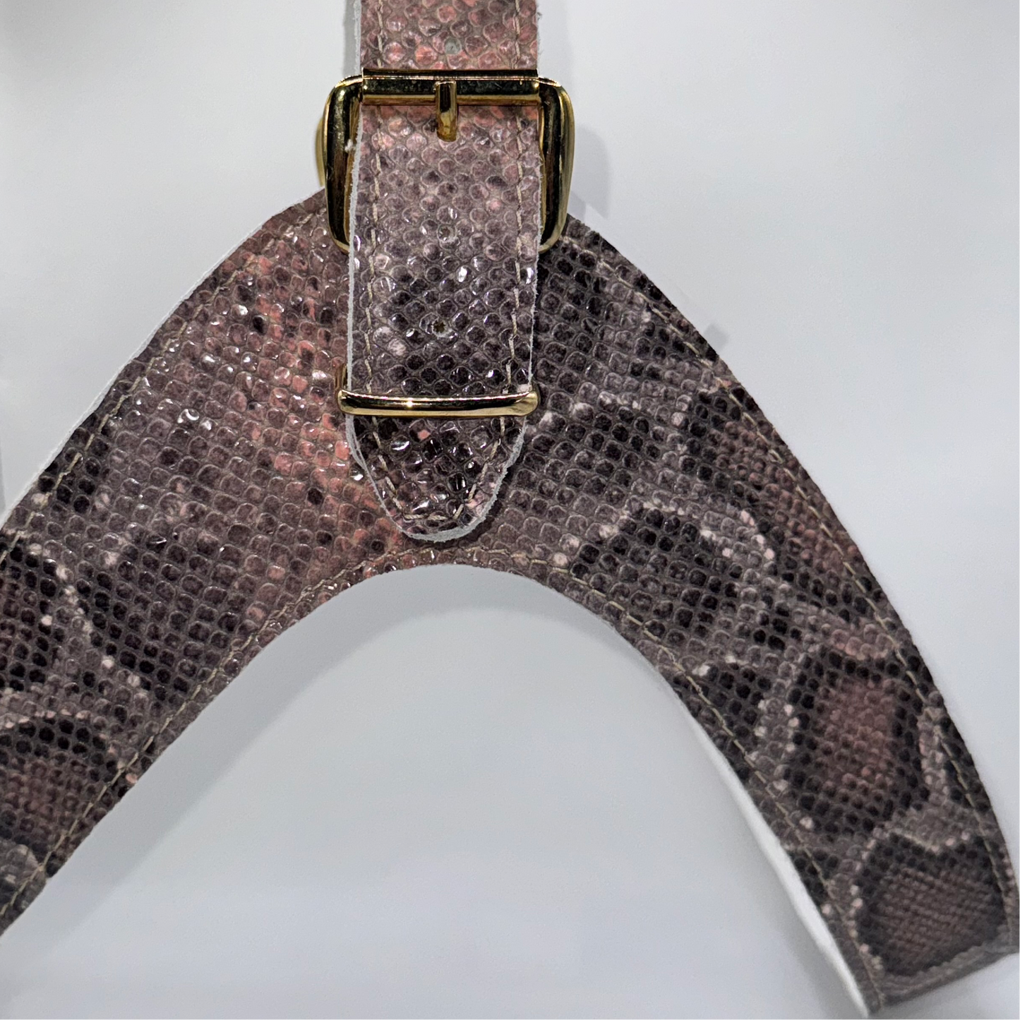 Salmon pink python harness