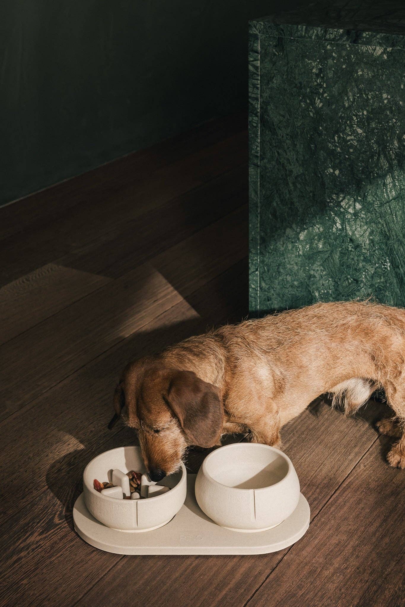 Gamelle pour chien à alimentation lente