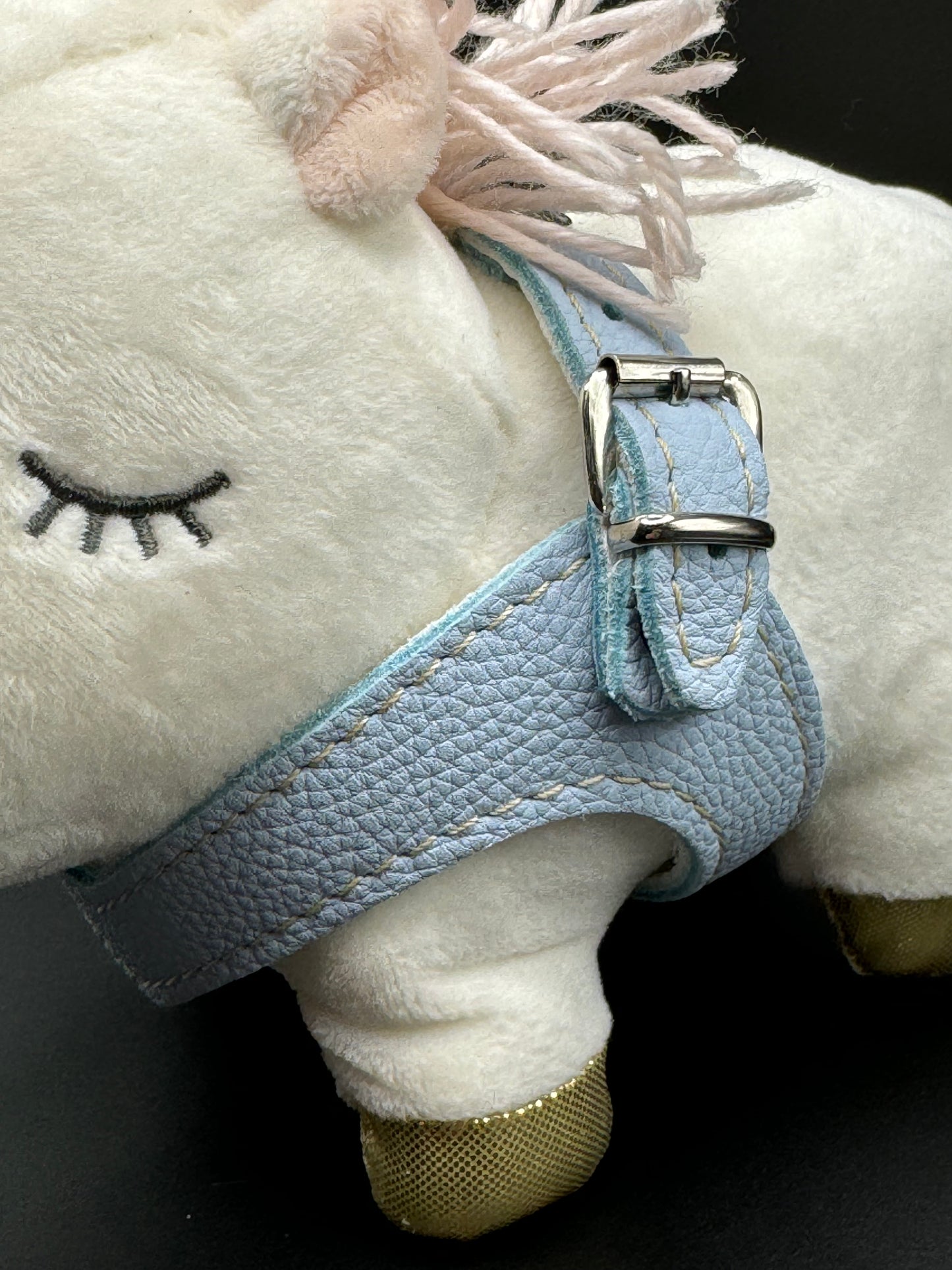 Blue 'Layette' harness and matching leash