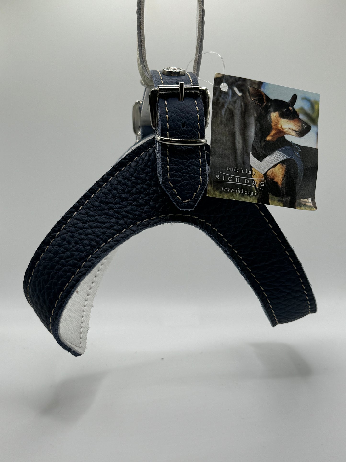 Royal blue harness