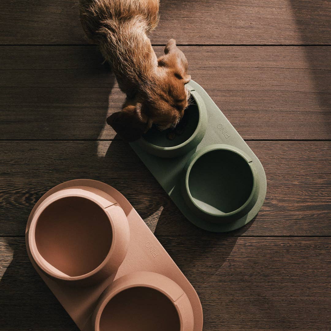Plateau pour chiens