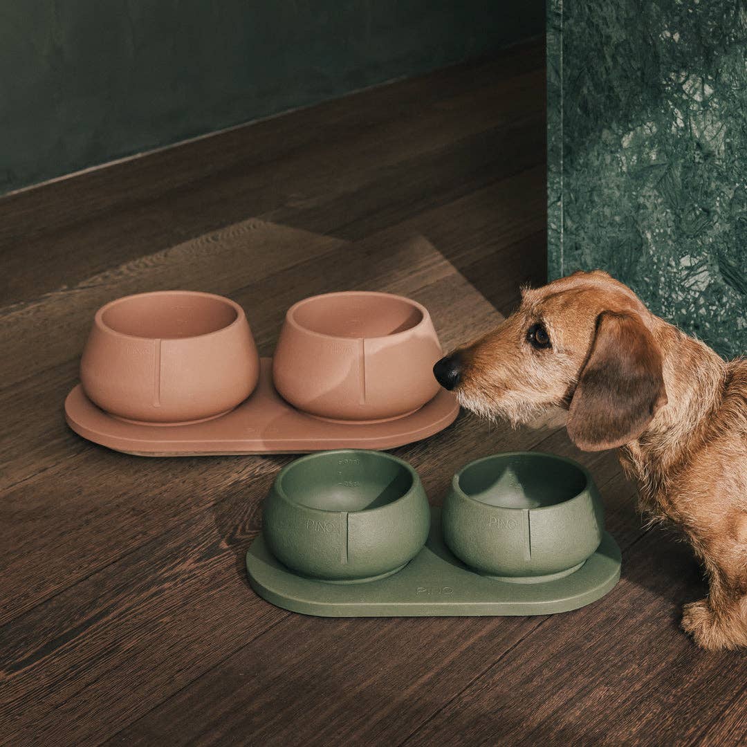 Plateau pour chiens