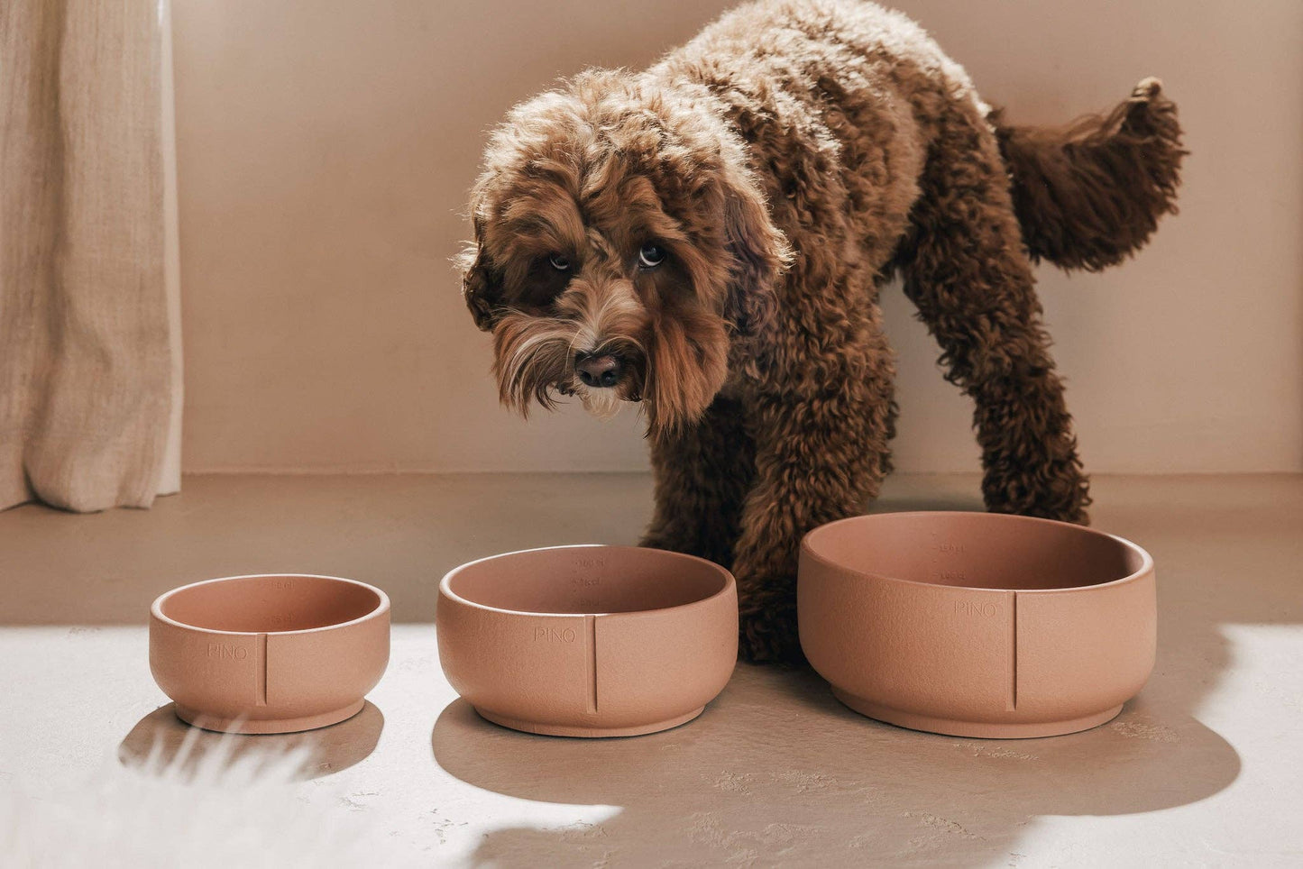 Bol classique pour chien