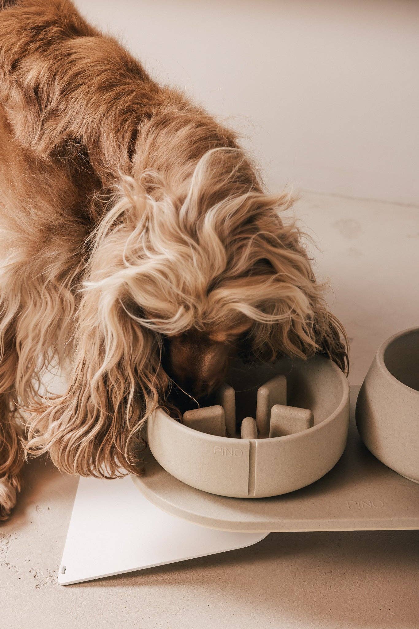 Gamelle pour chien à alimentation lente