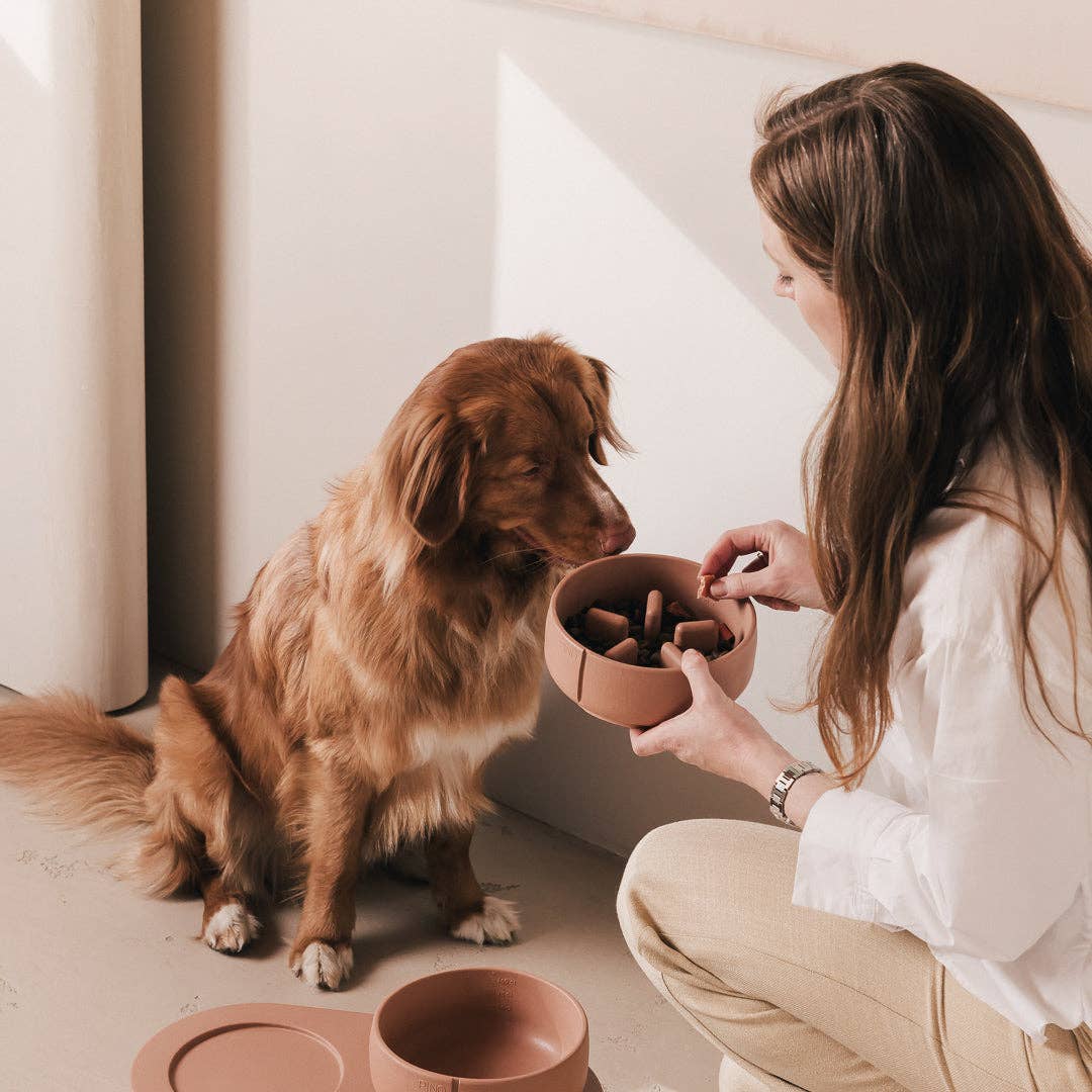 Gamelle pour chien à alimentation lente