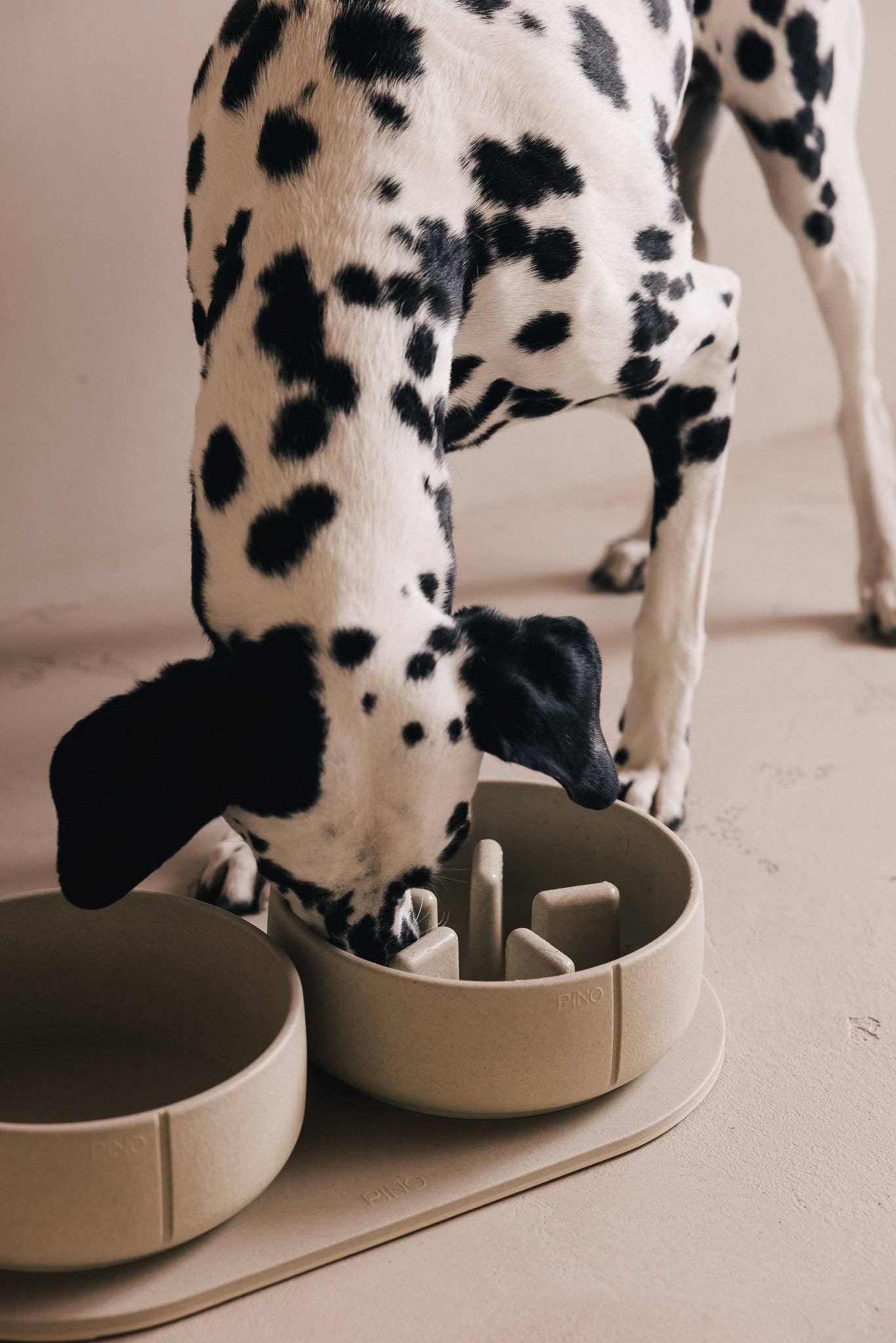 Gamelle pour chien à alimentation lente