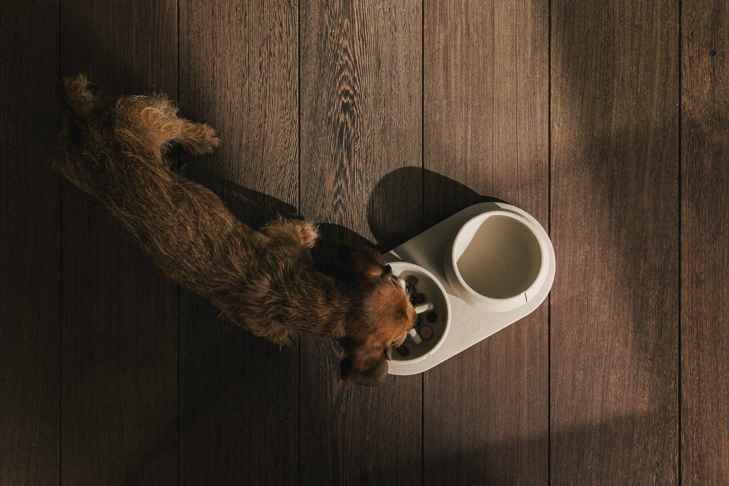 Gamelle pour chien à alimentation lente