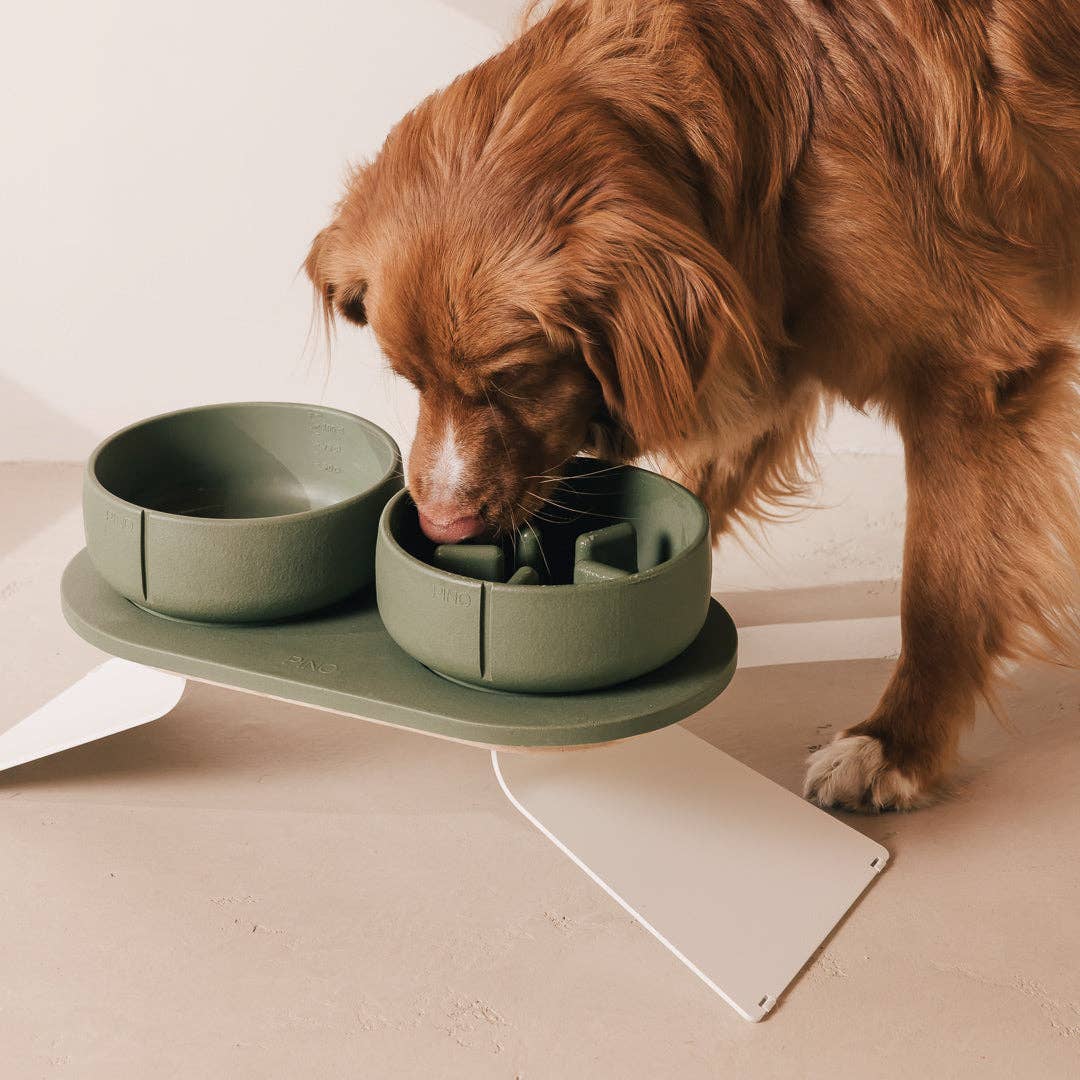 Plateau pour chiens
