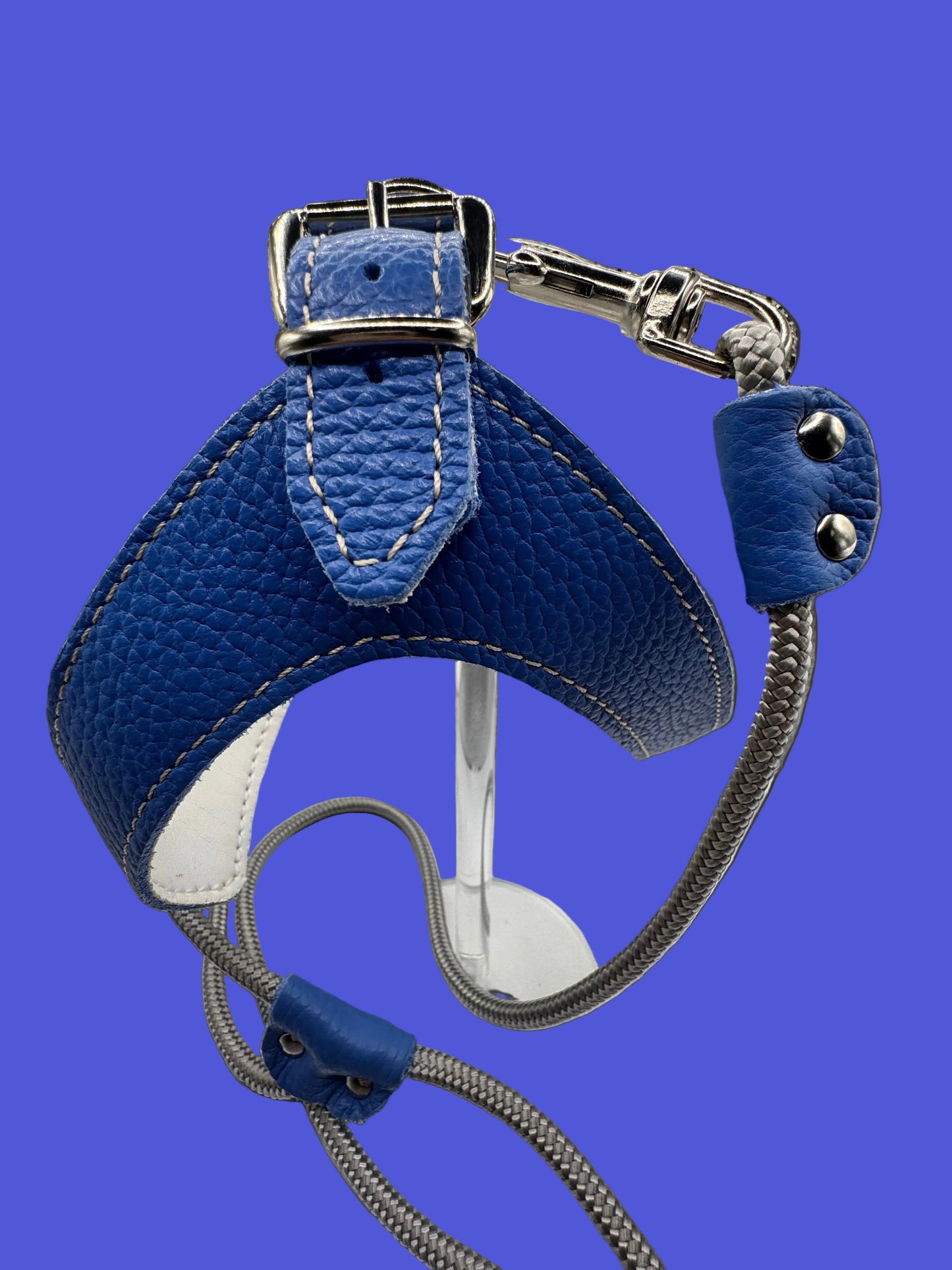 Harnais Bleu Pervenche