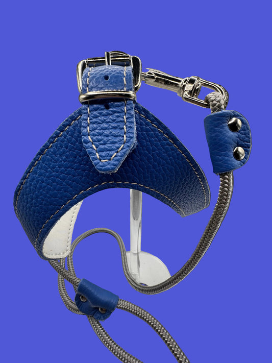 Harnais Bleu Pervenche