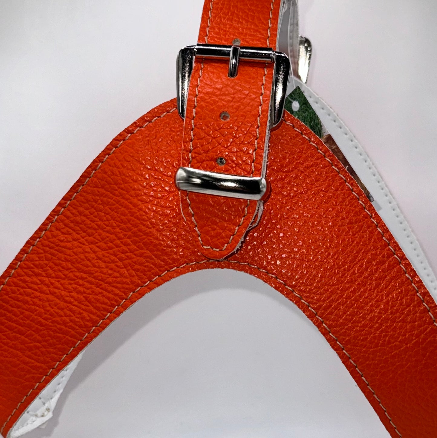 Neon Orange Harness