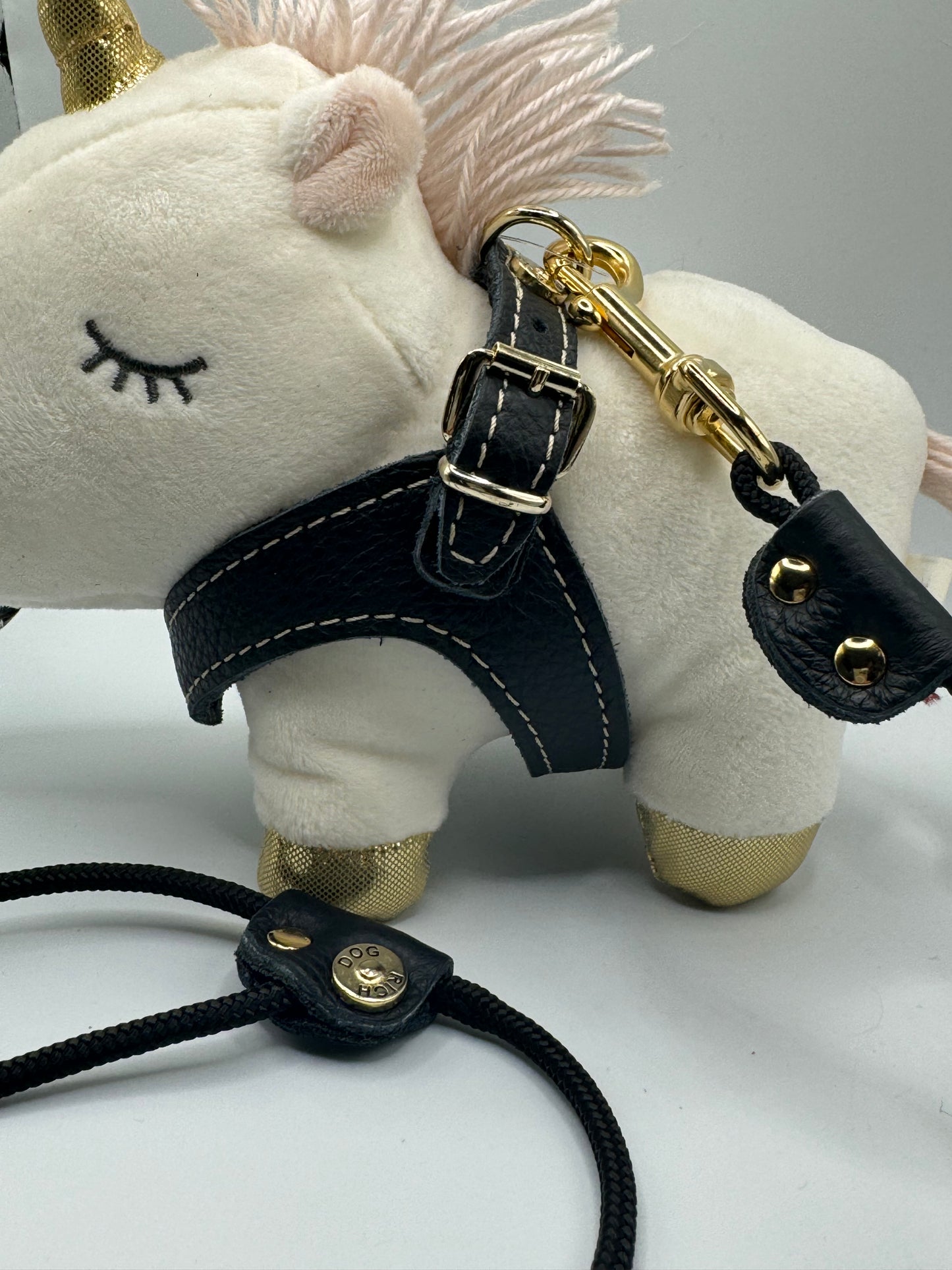 'Black &amp; Gold' harness and matching leash