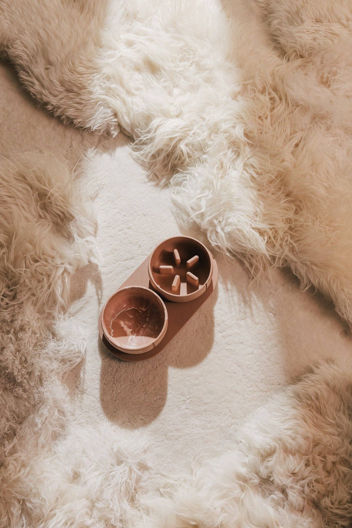 Gamelle pour chien à alimentation lente