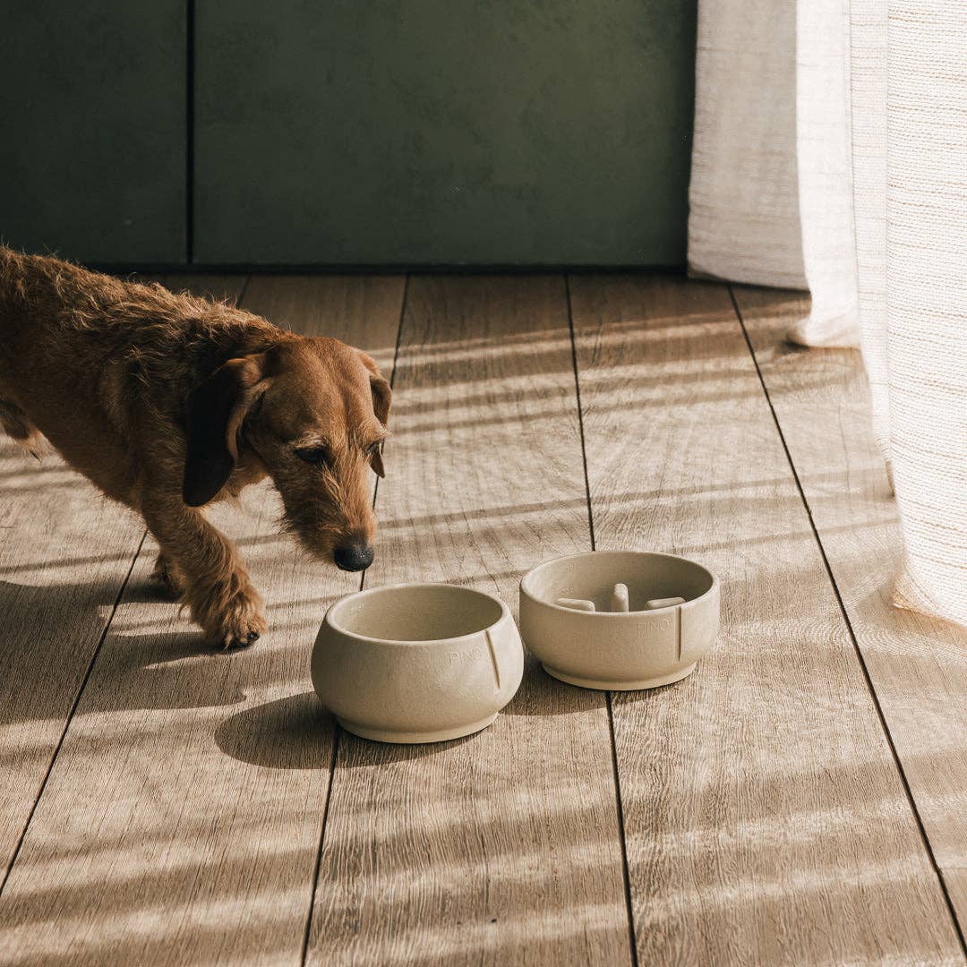 Gamelle pour chien à alimentation lente