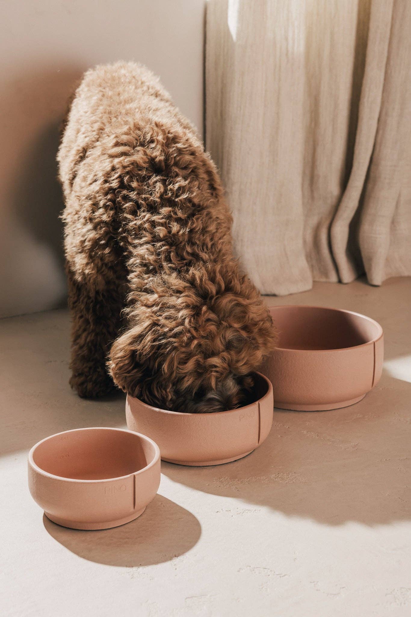 Bol classique pour chien