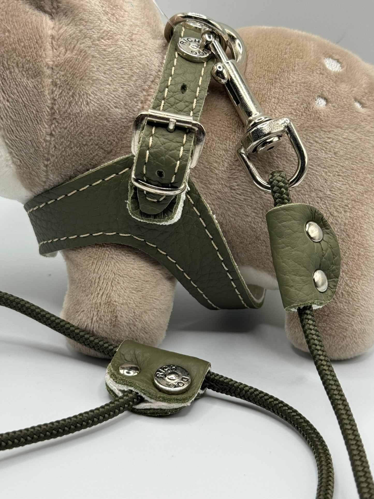 Khaki harness and matching leash