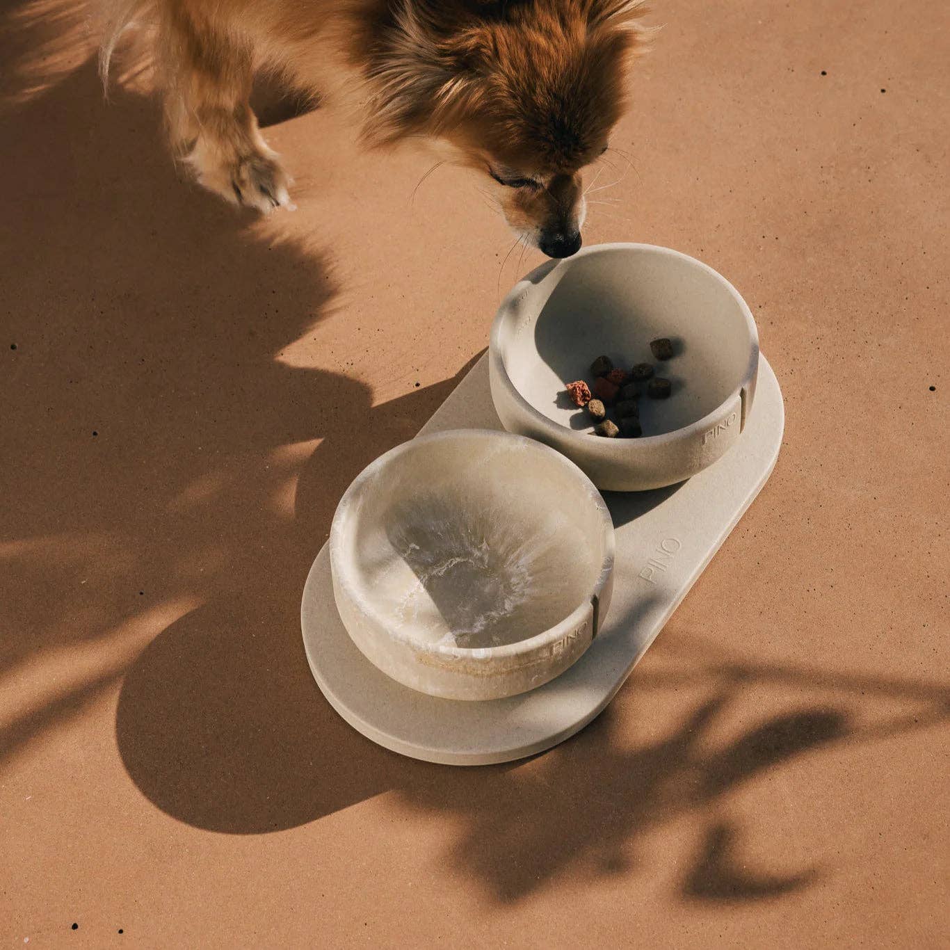Bol classique pour chien