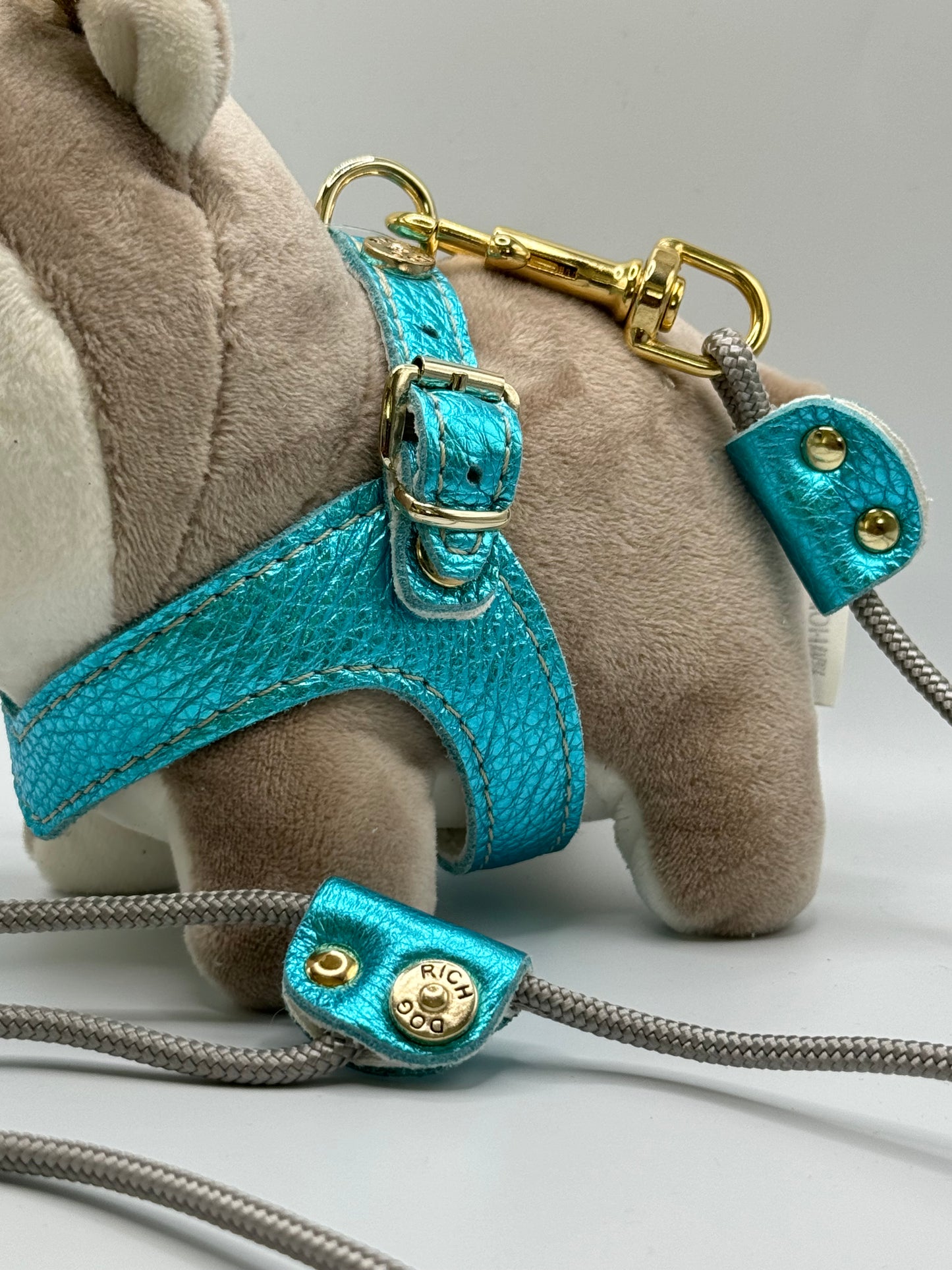 Cyan 'Metal' harness and matching leash