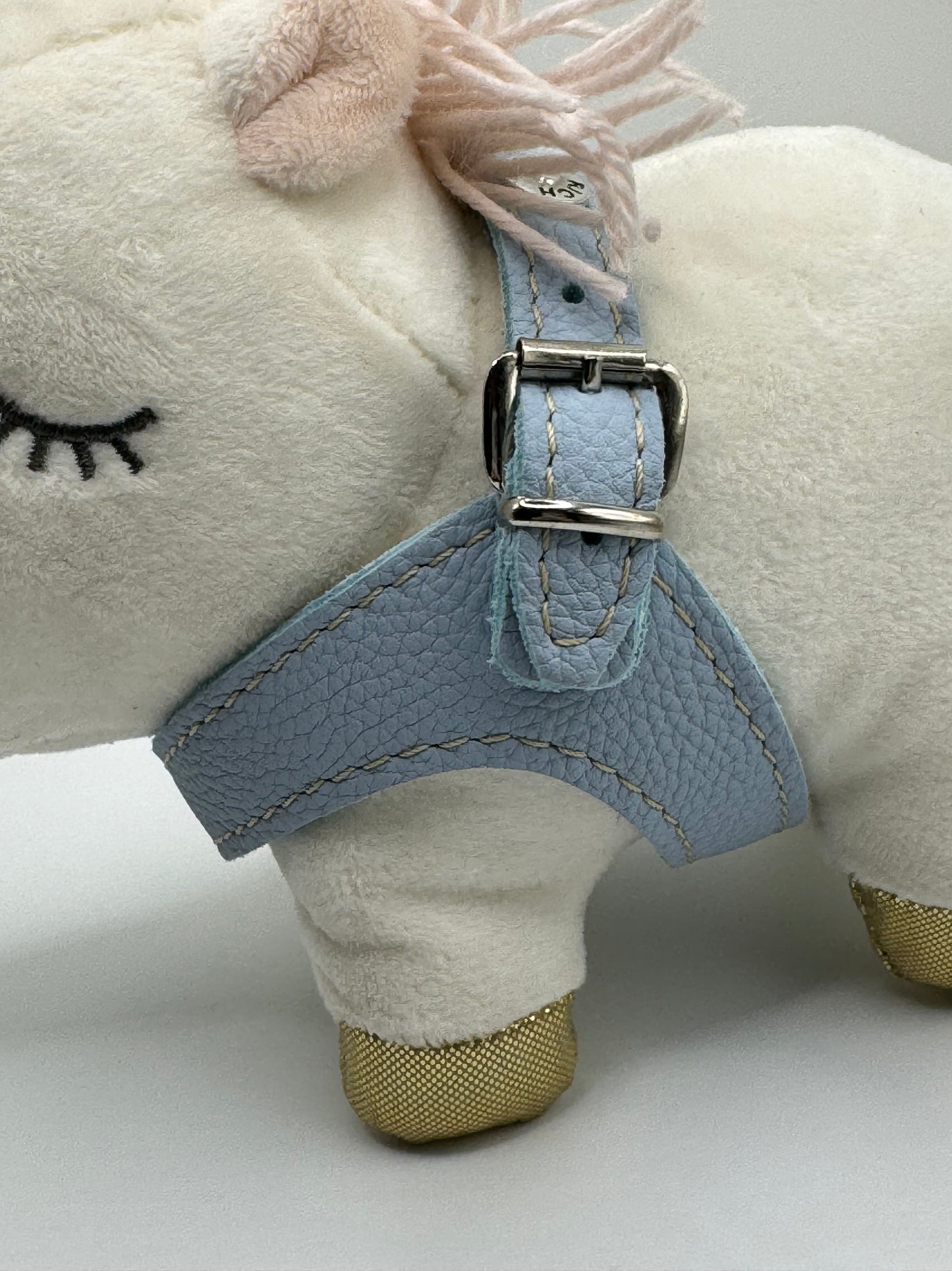 Blue 'Layette' harness and matching leash