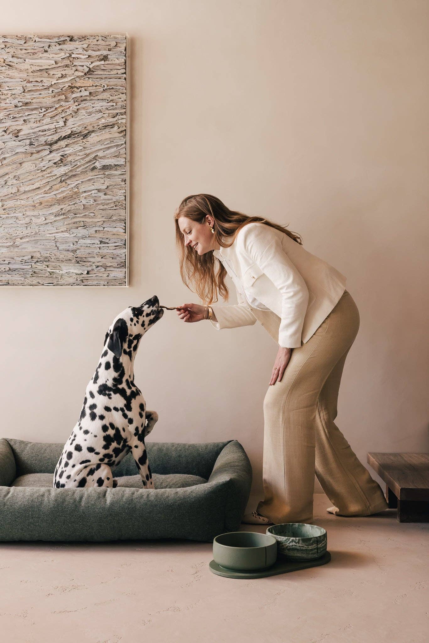 Bol classique pour chien