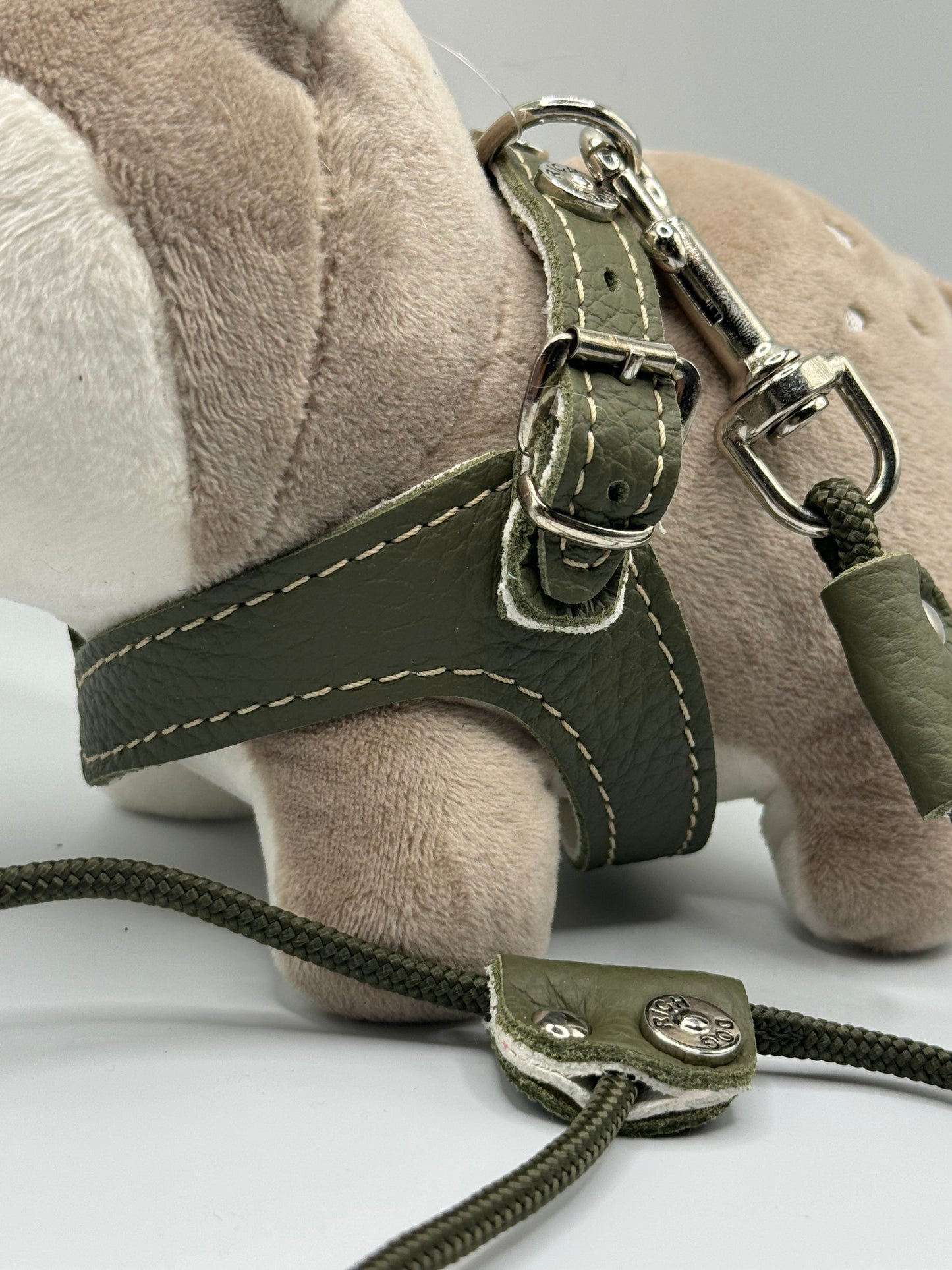 Khaki harness and matching leash