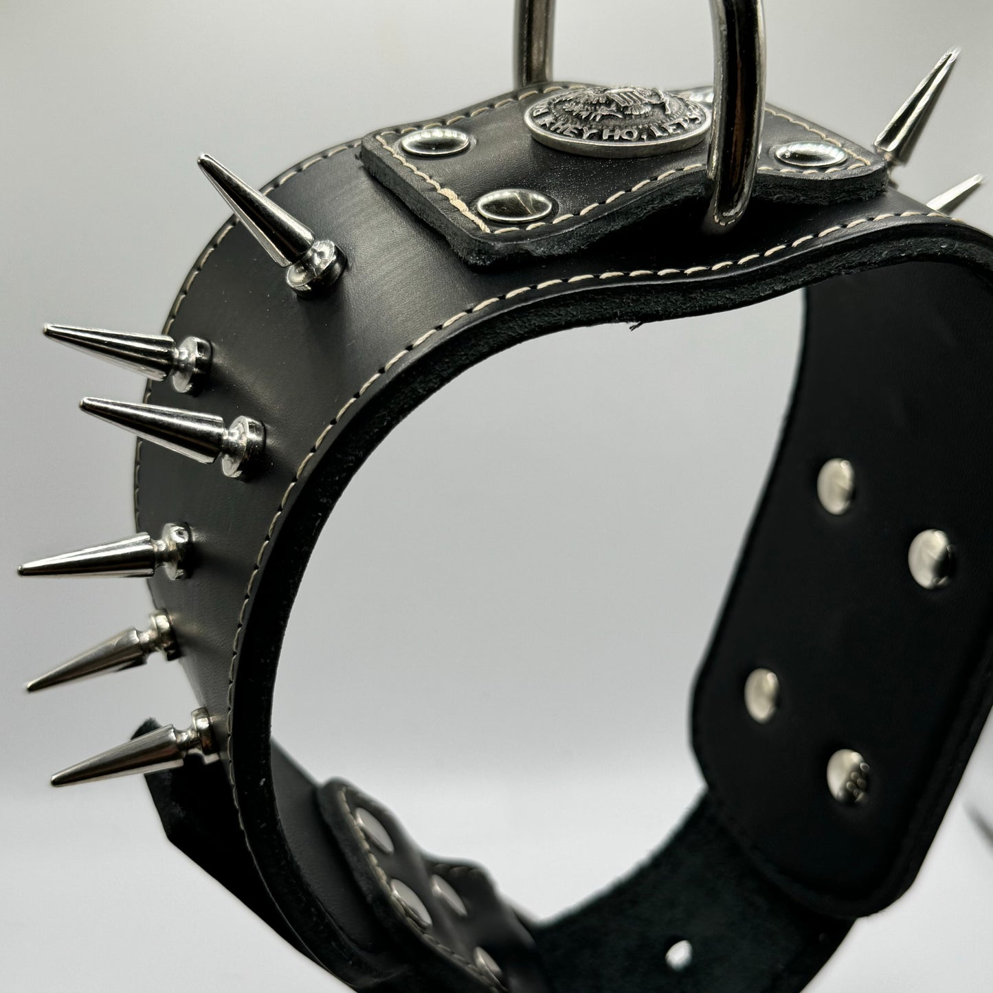 Spiked mastiff collar