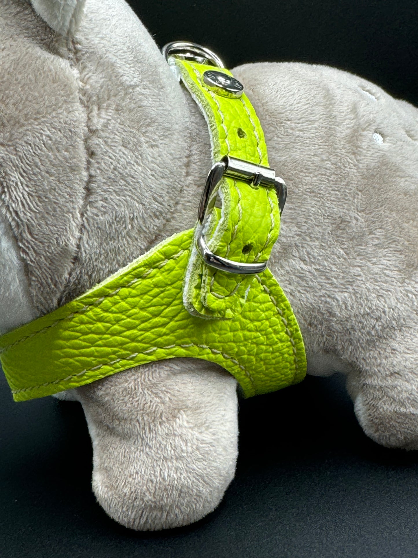 'Lime' harness and matching leash