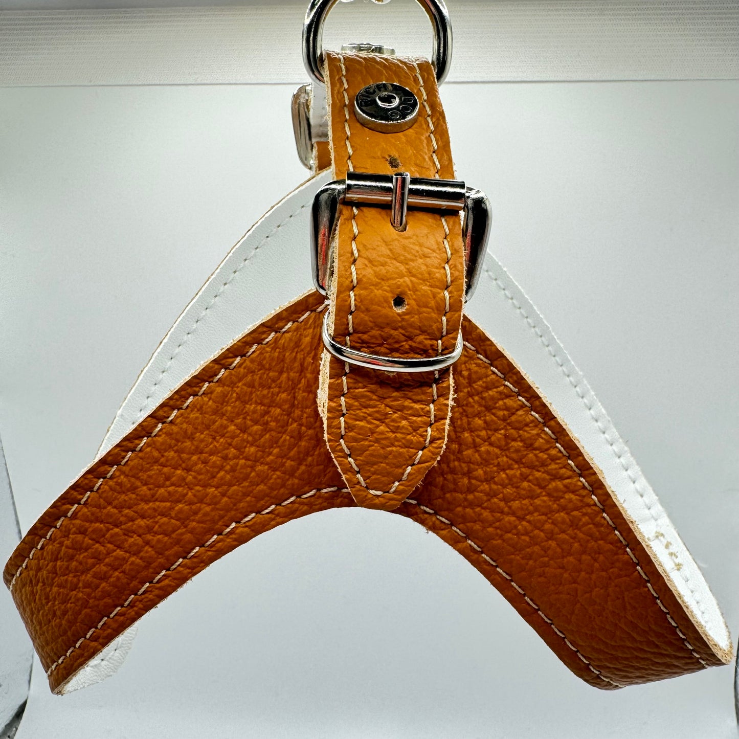 Camel Harness