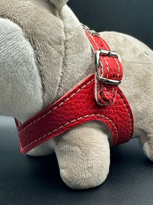 Harnais rouge Riviera