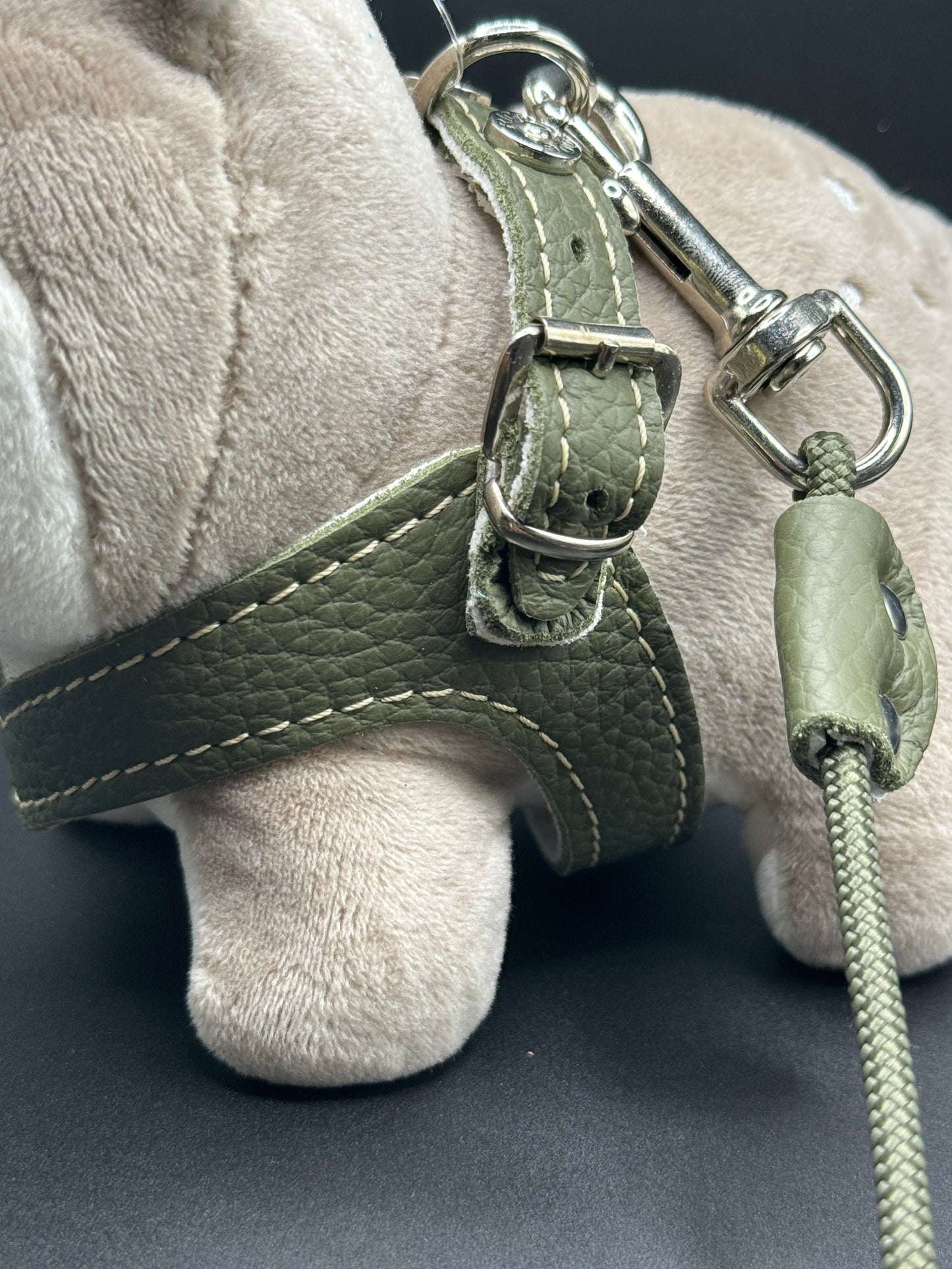 Khaki harness and matching leash