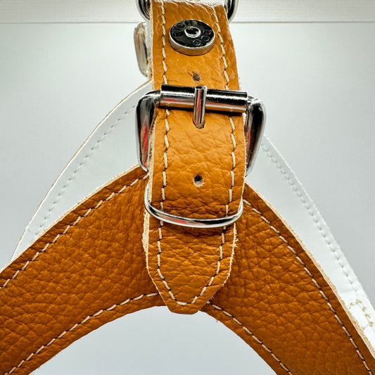 Camel Harness