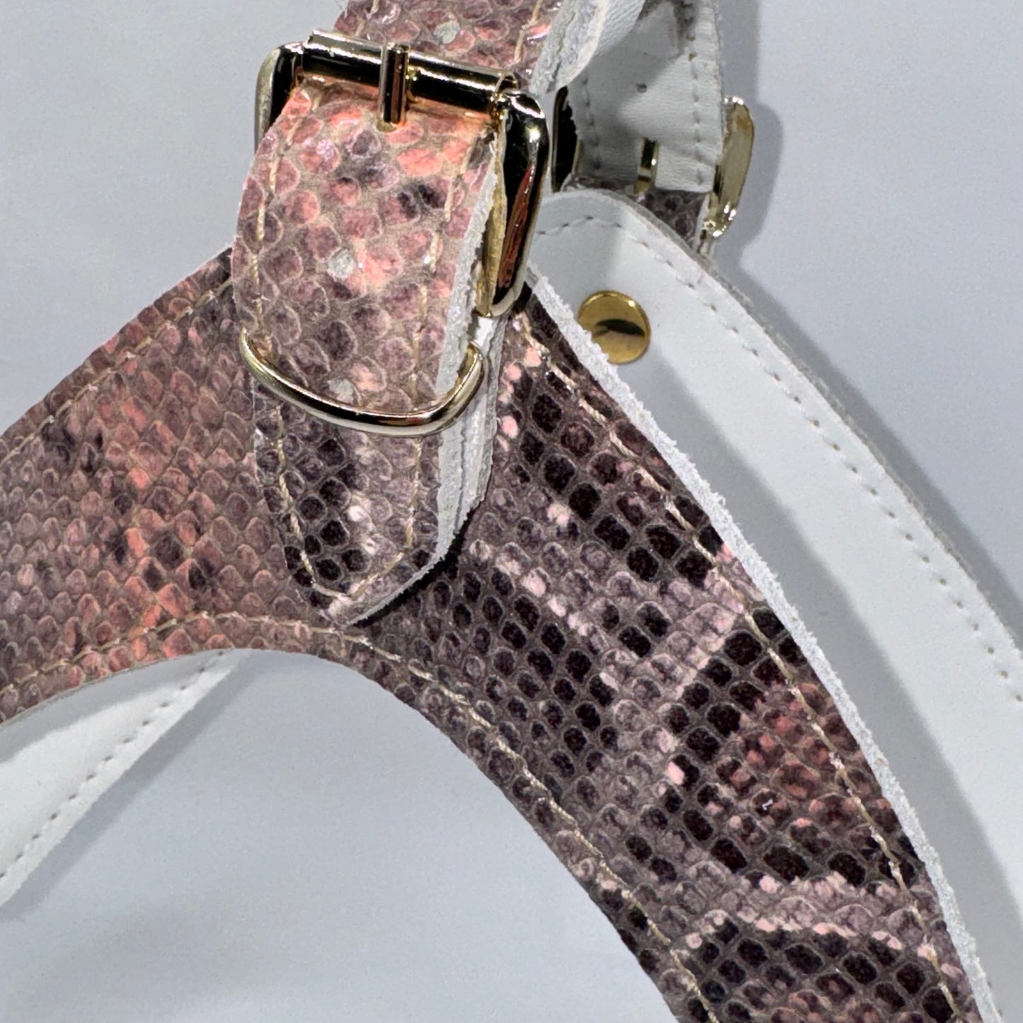 Salmon pink python harness