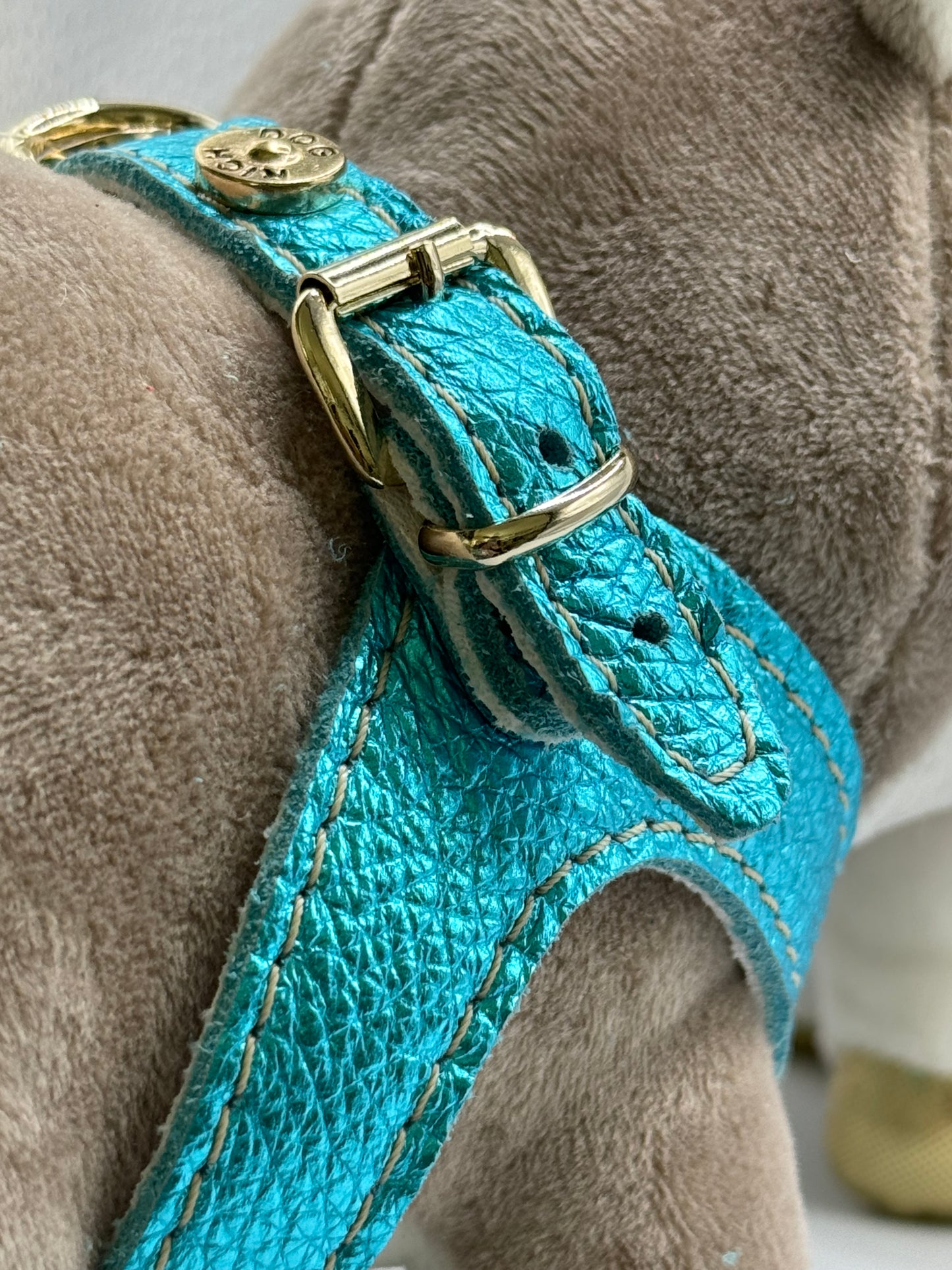 Cyan 'Metal' harness and matching leash