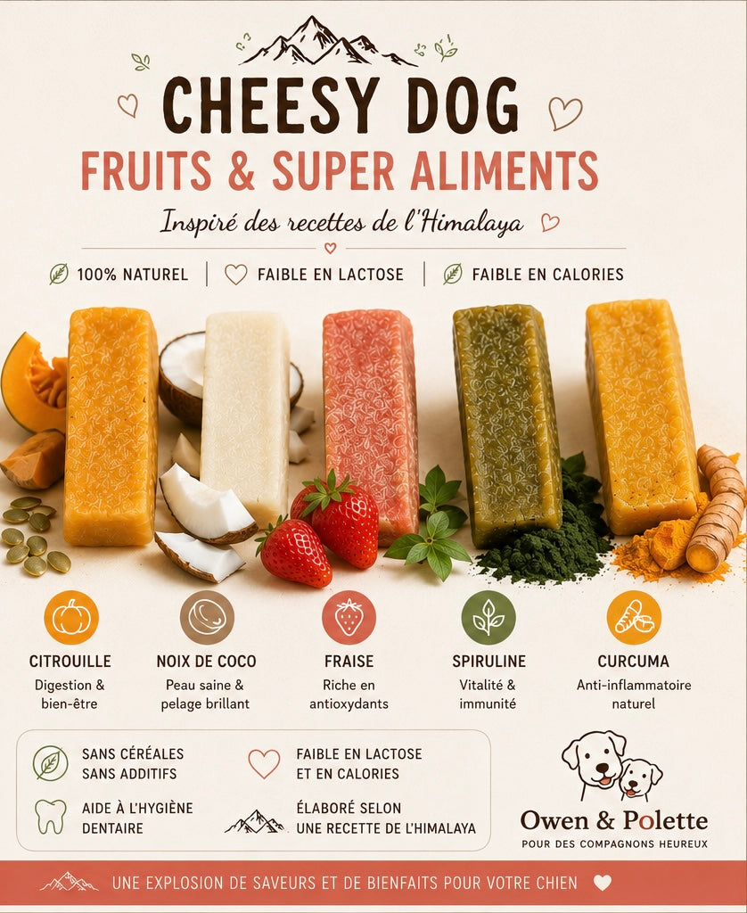 Fromage "Cheezy Dog" aux Fruits et Superaliments