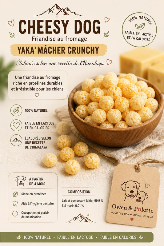 Fromage "Cheezy Dog" soufflé pour chien - Yaka mâcher crunchy