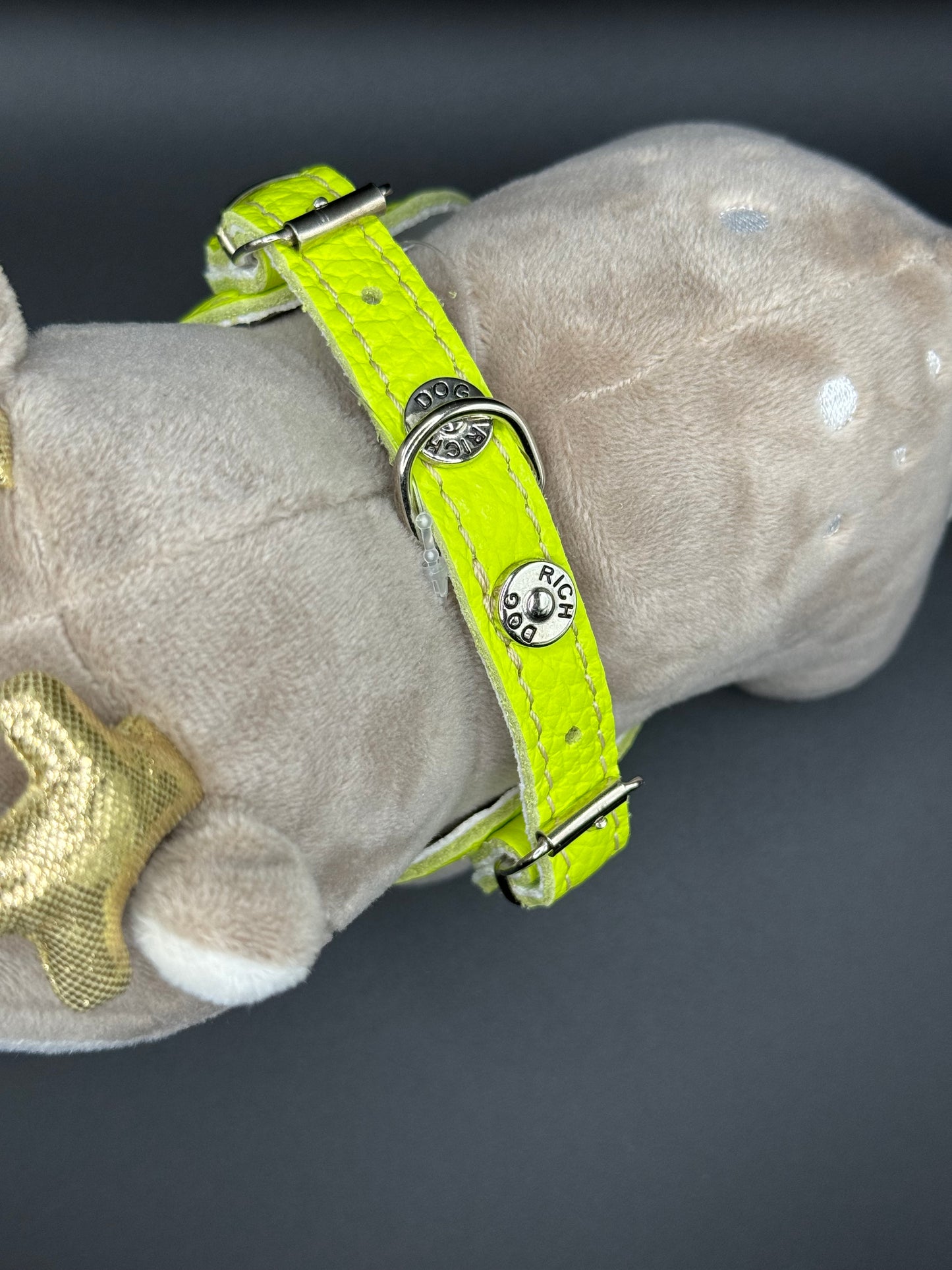 'Lime' harness and matching leash