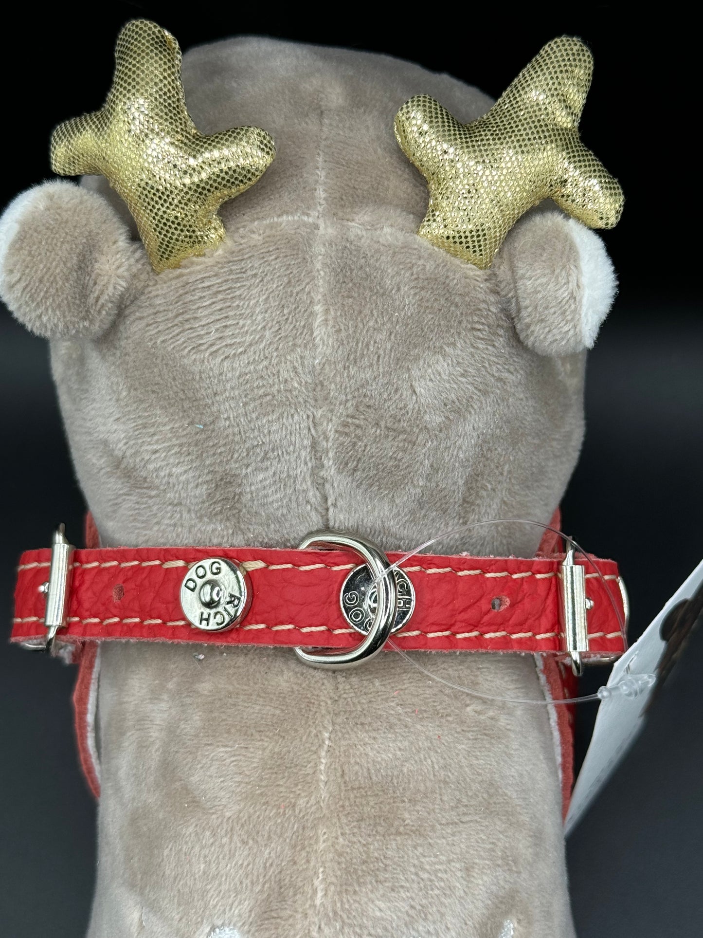 'Bright' red harness and matching leash