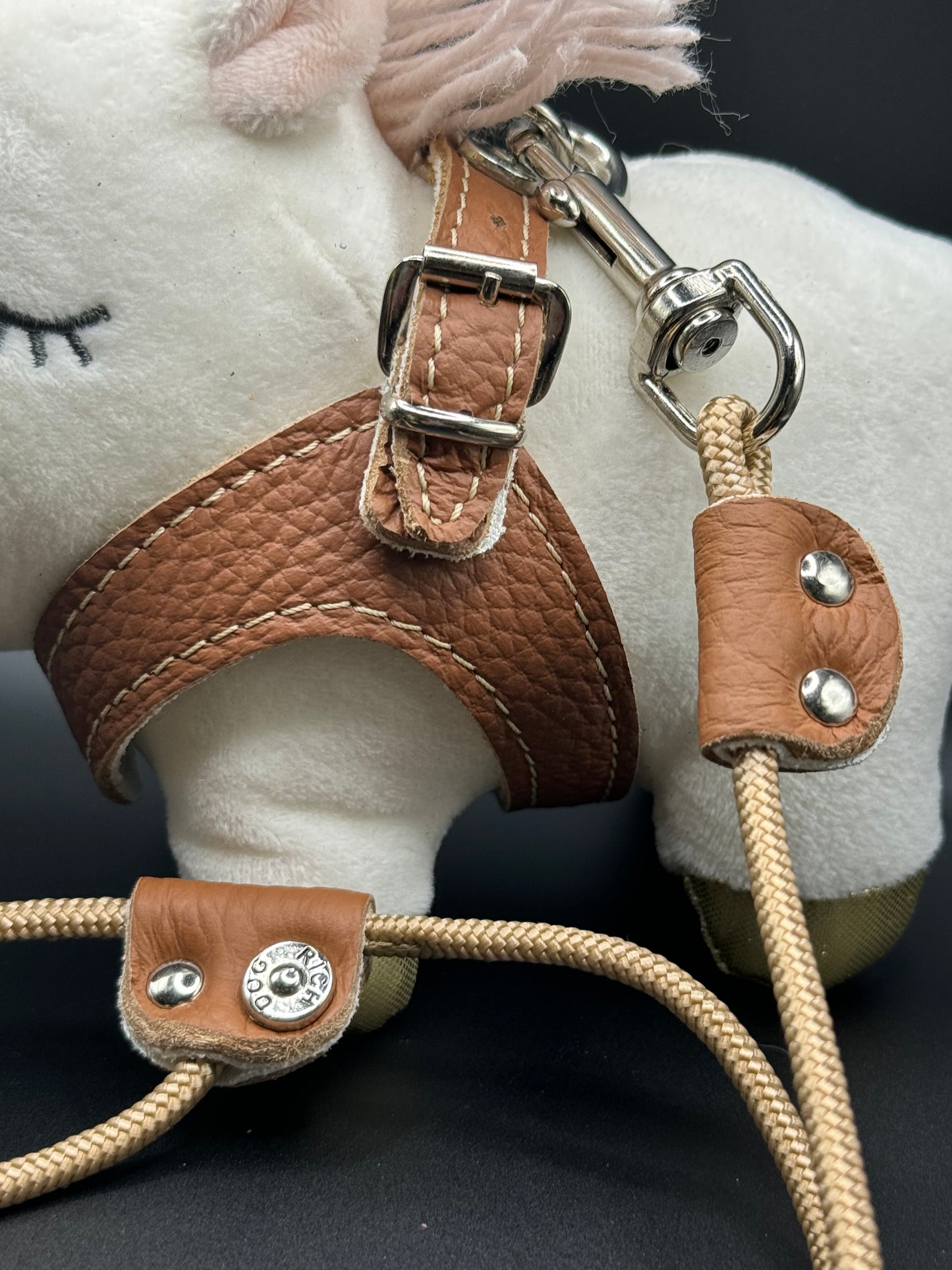 'Hazelnut' harness and matching leash